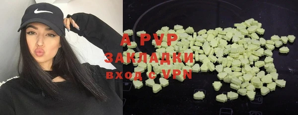 прущие грибы Вяземский
