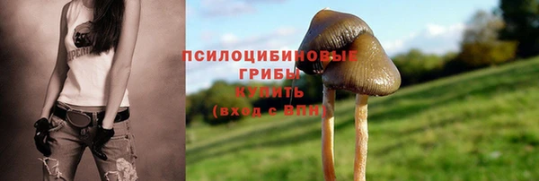 ECSTASY Арсеньев