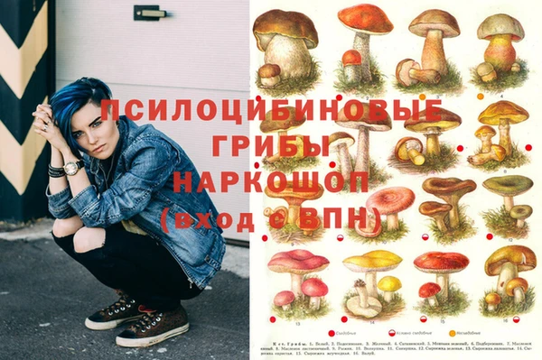 ECSTASY Арсеньев