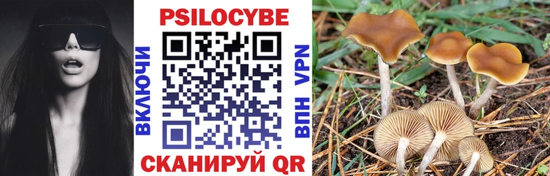 Галлюциногенные грибы GOLDEN TEACHER  Могоча 